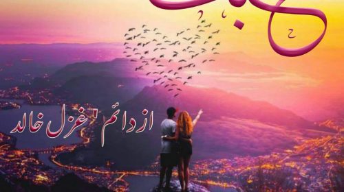 Tawaaf Novel by Talat Rabab Episode 8