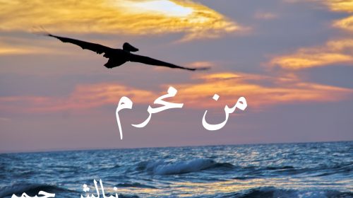 Harees e mohabbat by Umme Umayr 