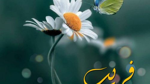 Mohabbat Baazi E Aakhir By Huma Qureshi (Episode 16) Online Reading