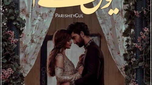 Chahat Aur Wafa by Shehzadi Hafsa Complete PDF