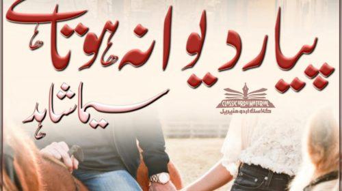 Chahat Aur Wafa by Shehzadi Hafsa Complete PDF