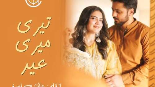 Dil O Janam Fida E Tu By Aniqa Ana Episode 63 Past Special