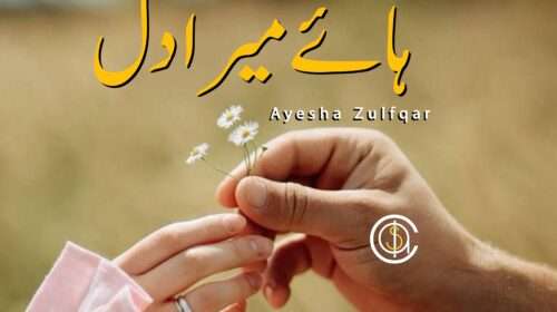 Teri Dehleez Meri Jannat Hei By Ayesha Zulfqar